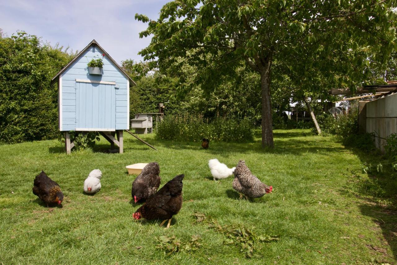 Zeeuws Huisje Serooskerke  Buitenkant foto